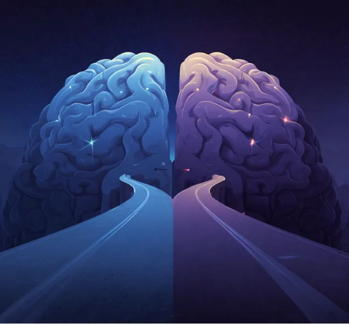 Illustration of a brain split into two blue halves against a night background, with a road leading out from each half.